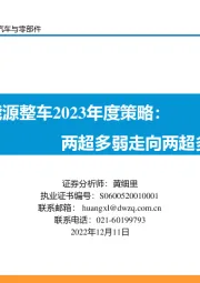 新能源整车2023年度策略：两超多弱走向两超多强！