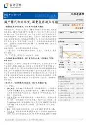 电子：国产替代方兴未艾，消费复苏拐点可期