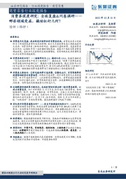 商贸零售行业深度报告:消费券深度研究:全面复盘&问卷调研——哪些领域受益,撬动杠杆几何?