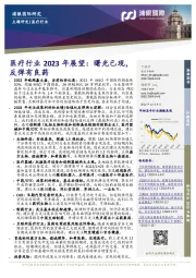 医疗行业2023年展望：曙光已现，反弹有良药