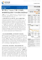 轻工制造行业快报：阔叶浆大厂Suzano下调12月报价，持续推荐受益浆价下行的浆纸系投资机会