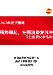 商贸零售行业2023年投资策略：关注国货化妆品和免税龙头-国货强势崛起，把握消费复苏主线