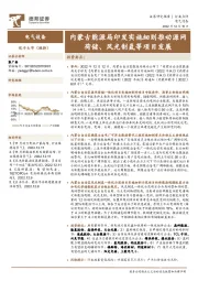 电气设备行业点评：内蒙古能源局印发实施细则推动源网荷储、风光制氢等项目发展