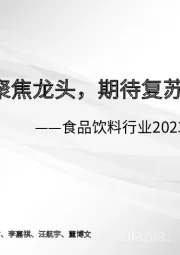 食品饮料行业2023年投资策略：聚焦龙头，期待复苏