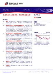 轻工行业：坚定实施扩大内需战略，多重政策有望共振