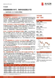 能源金属2023年度投资策略:新型储能拥抱大时代,钠钒电池迎接主升浪