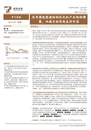 电气设备：有序推进能源结构优化和产业结构整，双碳目标实现良好开局