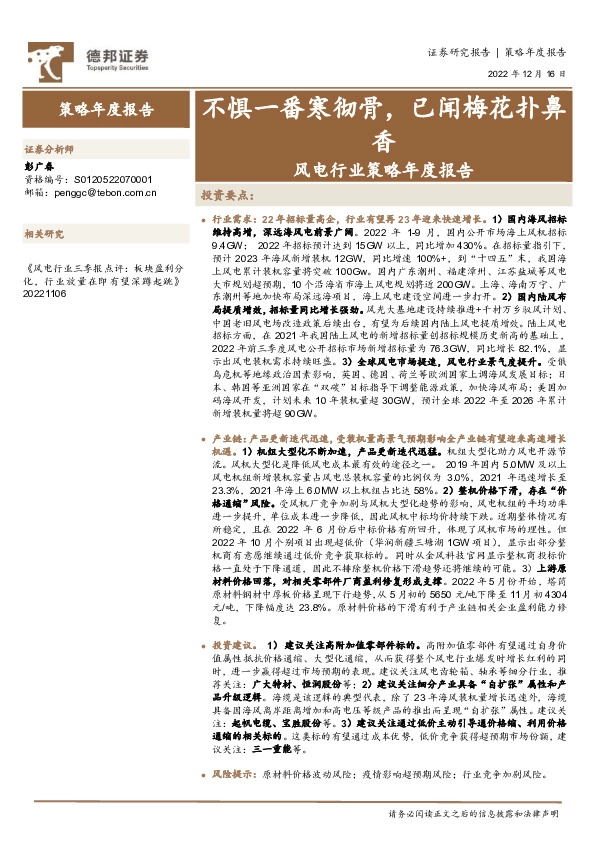 风电行业策略年度报告：不惧一番寒彻骨，已闻梅花扑鼻香
