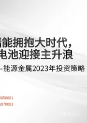 能源金属2023年投资策略：新型储能拥抱大时代，钠钒电池迎接主升浪