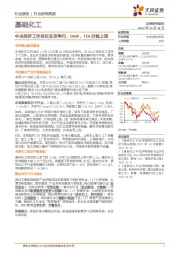基础化工行业研究周报:中央经济工作会议在京举行,DMF、TDI价格上涨