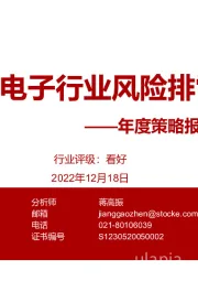 年度策略报告姊妹篇：2023年电子行业风险排雷手册