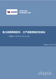 2022年10月电力行业月报：电力消费稍有回升，三产消费用电仍在低谷