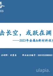 2023年金属&新材料投资策略：鹰击长空，或跃在渊