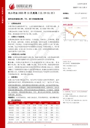 化工行业2022年12月周报：国际油价继续反弹，TDI、MDI价格持续回暖