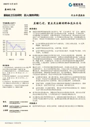 基础化工行业年度报告：至暗已过，重点关注新材料和龙头白马