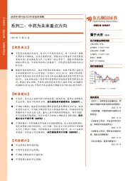 医药生物行业2023年度投资策略：系列二：中药为未来重点方向