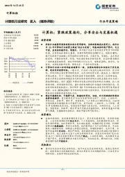 计算机行业年度策略：紧跟政策指向，分享安全与发展机遇