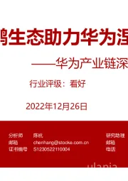 电子：华为产业链深度系列研究-鲲鹏生态助力华为涅槃