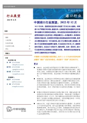 中国港口行业展望，2022年12月