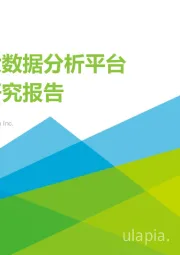 中国大数据分析平台行业研究报告