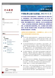 中国收费公路行业展望,2022年12月