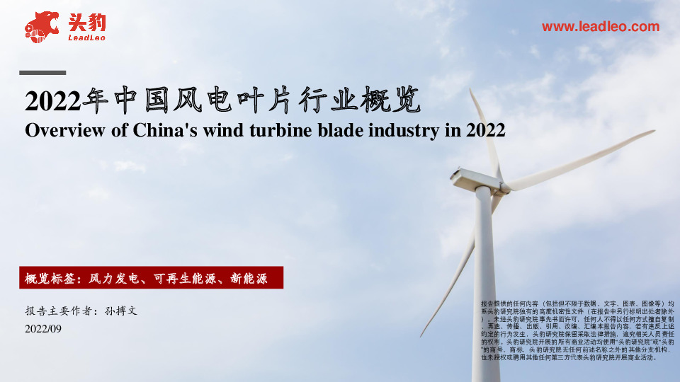 2022年中国风电叶片行业概览