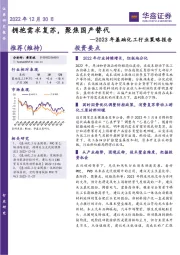 2023年基础化工行业策略报告：拥抱需求复苏，聚焦国产替代