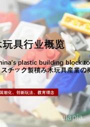 2022年中国塑料积木玩具行业概览