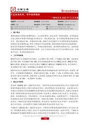 锂电行业2022年12月月报：月度表现良好，明年值得期待