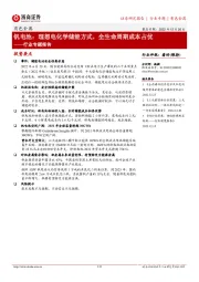 有色金属行业专题报告:钒电池:理想电化学储能方式,全生命周期成本占优