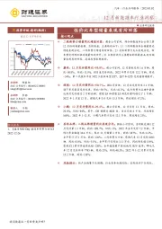 12月新能源车行业洞察：性价比车型销量表现有所回落