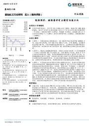 基础化工行业研究：轮胎涨价，继续看好有业绩有估值方向