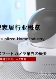 2022年中国智能可视家居行业概览