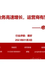 电信运营商系列:云计算业务高速增长,运营商有望价值重估