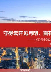 化工行业2023年度投资策略:守得云开见月明,百花齐放总是春