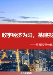 通信行业:数字经济为阳,基建投资为阴
