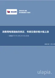 2022年11月电力行业月报：消费用电增速由负转正，年度交易价格大幅上涨