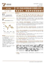 电气设备：12月欧洲新能源车销量点评：高速增长，渗透率有望继续增加