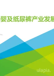 中国母婴及纸尿裤产业发展洞察