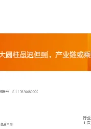 电气设备行业报告：锂电新技术：大圆柱虽迟但到，产业链或乘风起