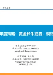 有色金属年度策略:黄金长牛或启,铜铝静待复苏