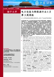 电力设备与新能源行业1月第3周周报：12月新能源销量保持高增，光伏产业链价格续跌