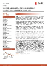 台湾科技行业月度数据库报告第二期（2022年12月）：12月行业整体营收继续承压，逻辑代工细分赛道表现良好