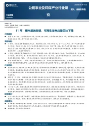 公用事业及环保产业行业研究：11月：用电增速放缓，可再生发电总量同比下降