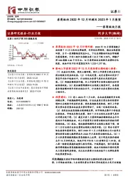 券商板块月报：券商板块2022年12月回顾及2023年1月展望