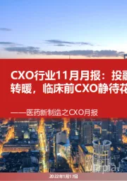 医药新制造之CXO月报:CXO行业11月月报:投融资情况边际转暖,临床前CXO静待花开