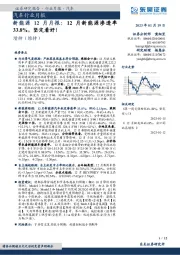 新能源12月月报:12月新能源渗透率33.8%,坚定看好!