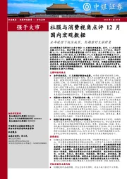 社服与消费视角点评12月国内宏观数据：全年疫情下抗压成长，长期看好文旅修复