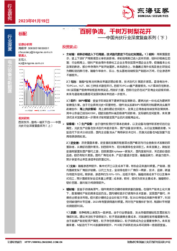 中国光伏行业深度复盘系列（下）：百舸争流，千树万树梨花开