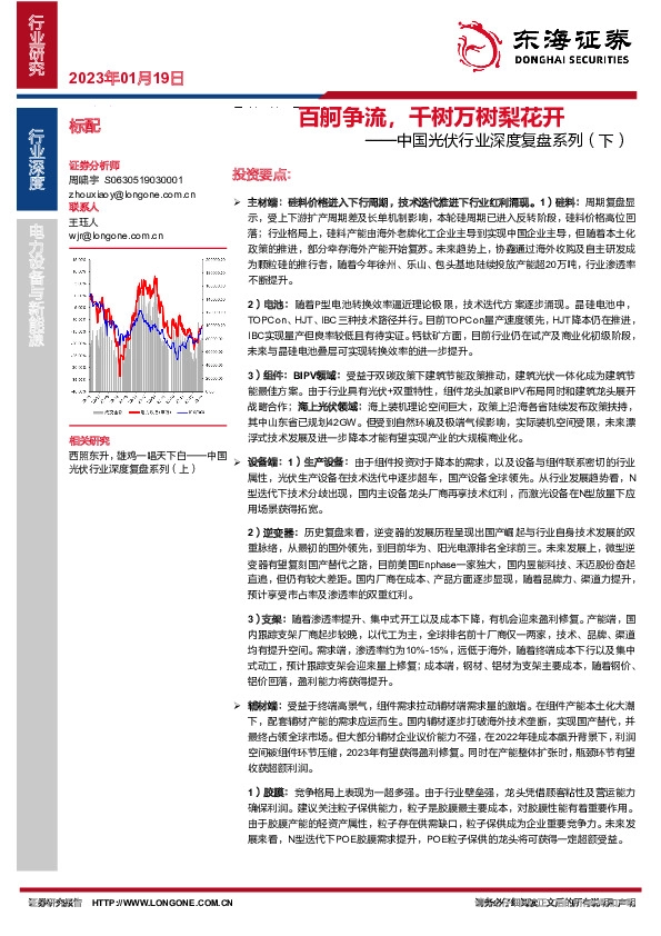 中国光伏行业深度复盘系列（下）：百舸争流，千树万树梨花开